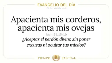 Evangelio de hoy Viernes 22 de Mayo 2026: Juan 21,15-19